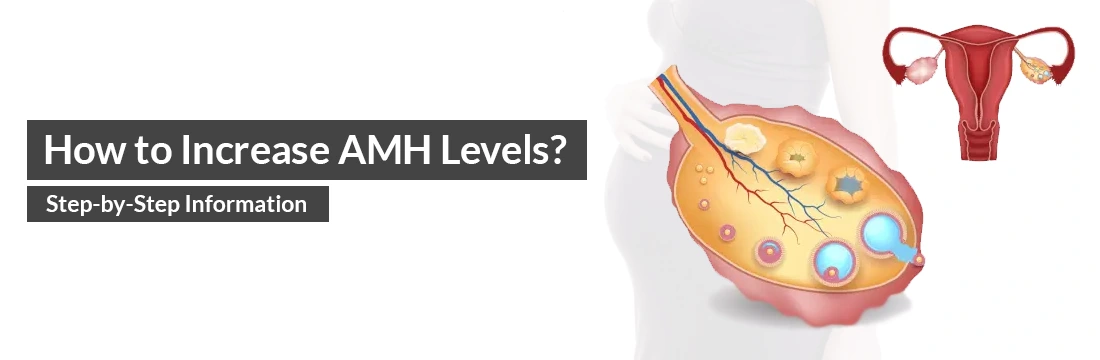 How to Increase AMH Levels? Step-by-Step Information